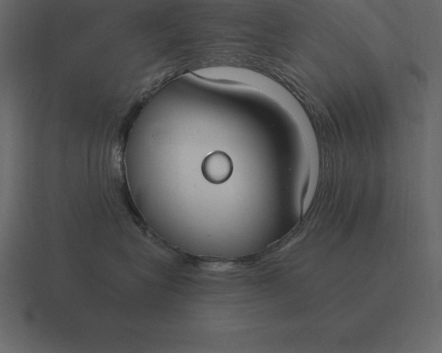 X0000116630575200912241815