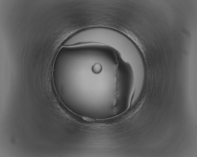 X0000116630577200912241814