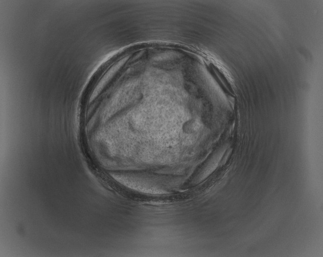 X0000116630580200912241814