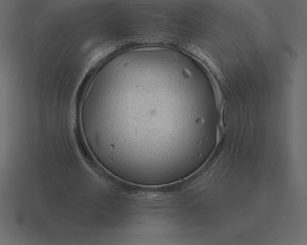 X0000116630582200912241814