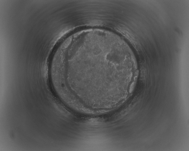 X0000116630584200912241814