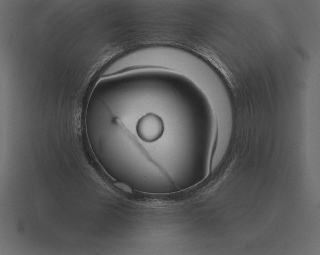 X0000116630585200912241814