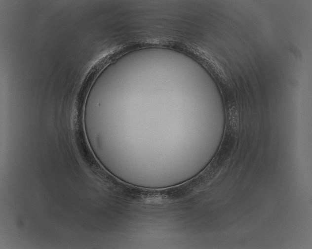 X0000116630587200912241814