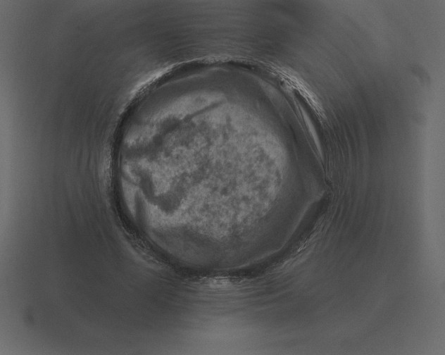 X0000116630588200912241814