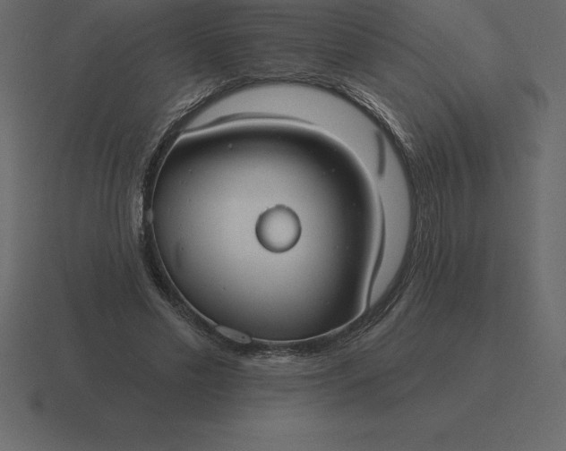 X0000116630589200912241814