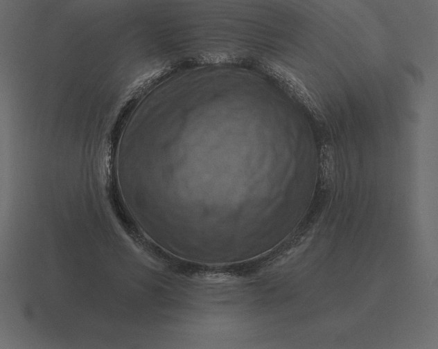 X0000116630590200912241814