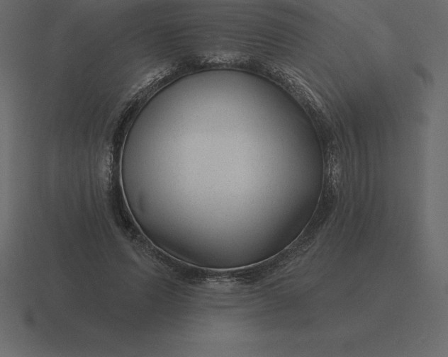 X0000116630591200912241814