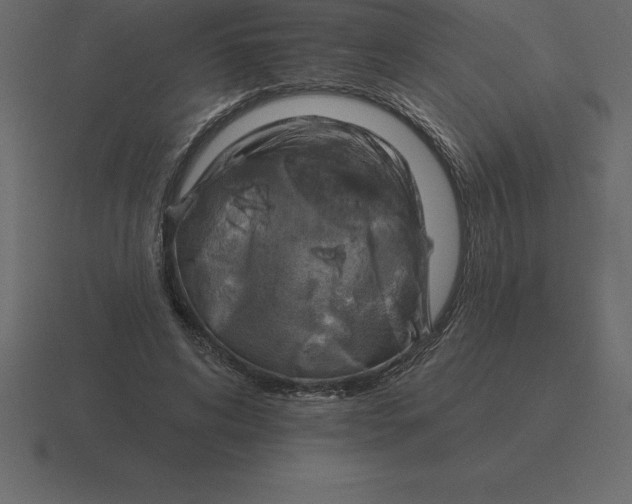 X0000116630592200912241814