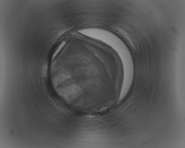 X0000116630596200912241814