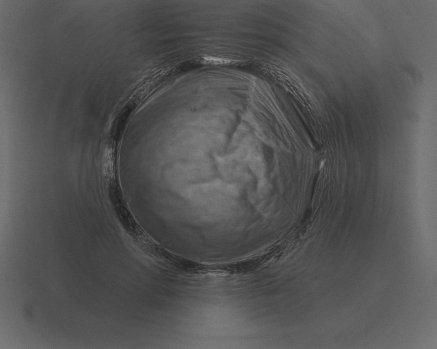 X0000116630598200912241814