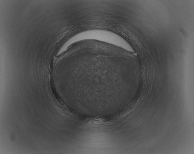 X0000116630599200912241814