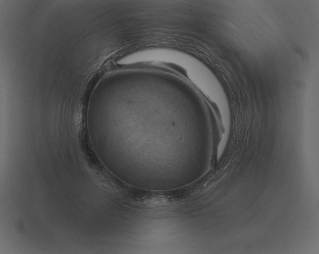 X0000116630600200912241814