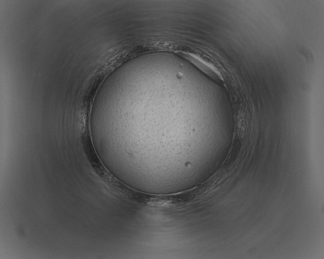 X0000116630602200912241814