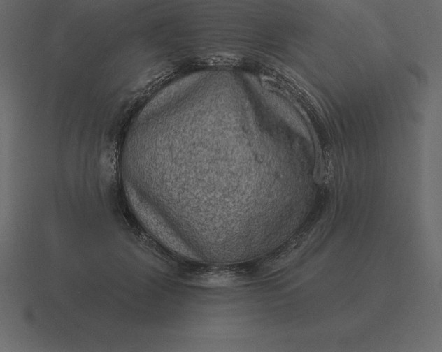 X0000116630604200912241814