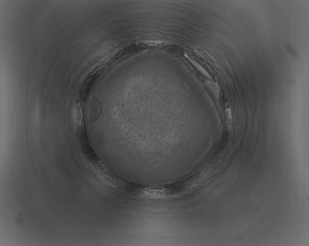 X0000116630606200912241814