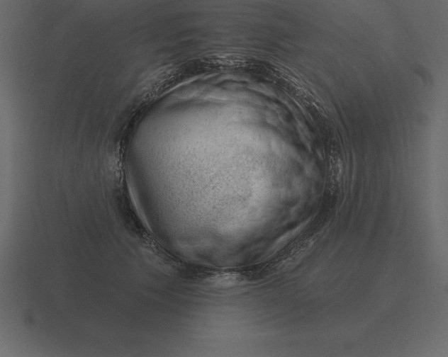 X0000116630609200912241814