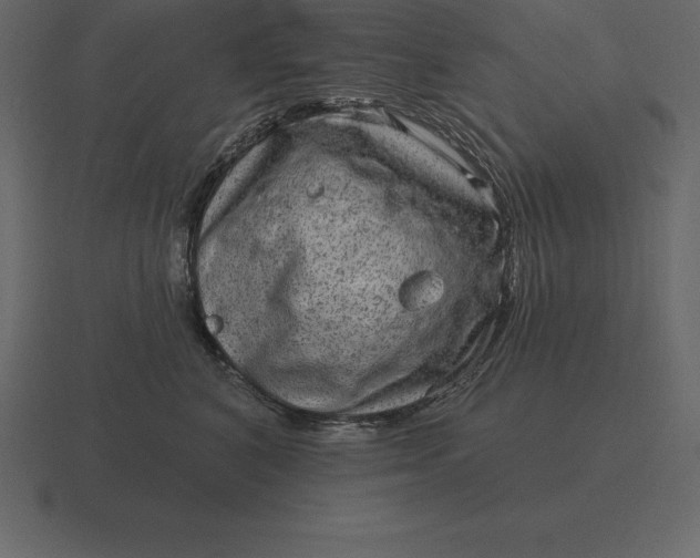 X0000116630616200912241813