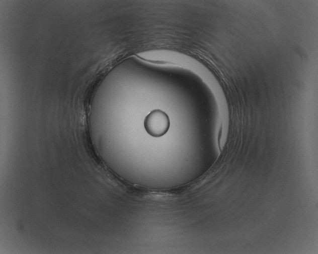 X0000116630617200912241813