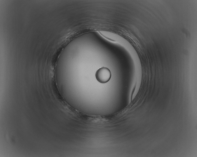 X0000116630621200912241813