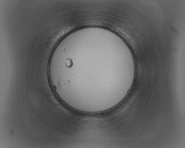 X0000116630625200912241813