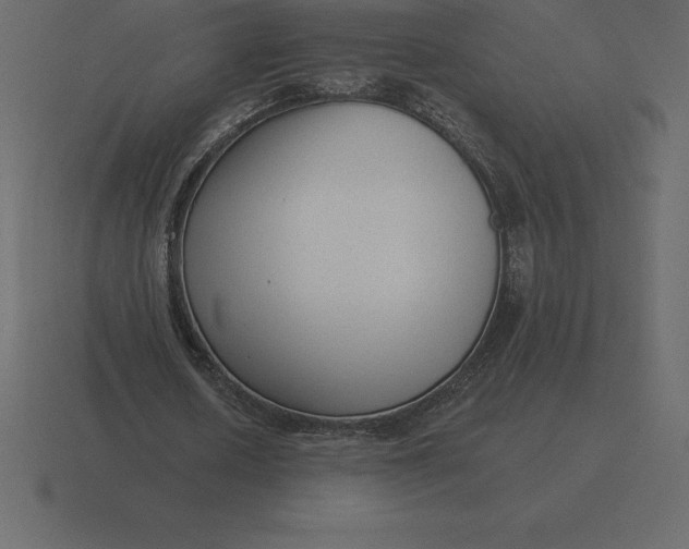 X0000116630626200912241813