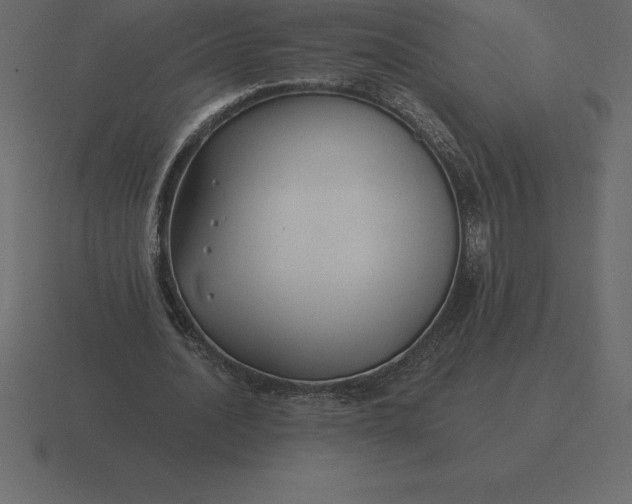 X0000116630628200912241813