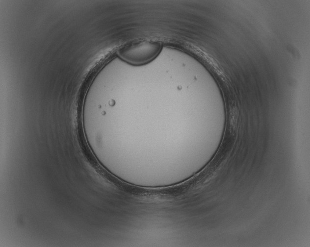 X0000116630629200912241813