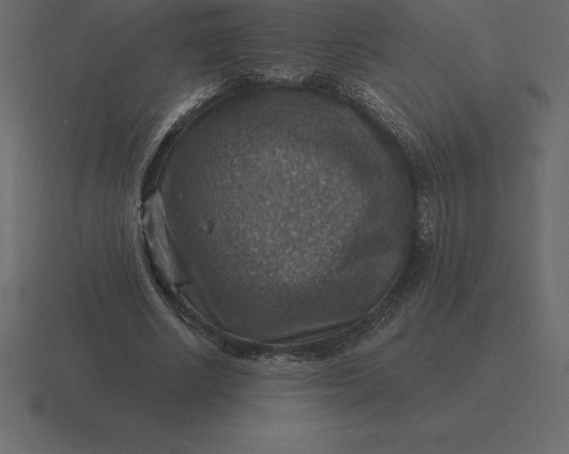 X0000116630634200912241813