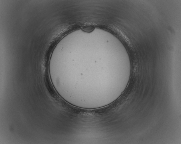 X0000116630635200912241813