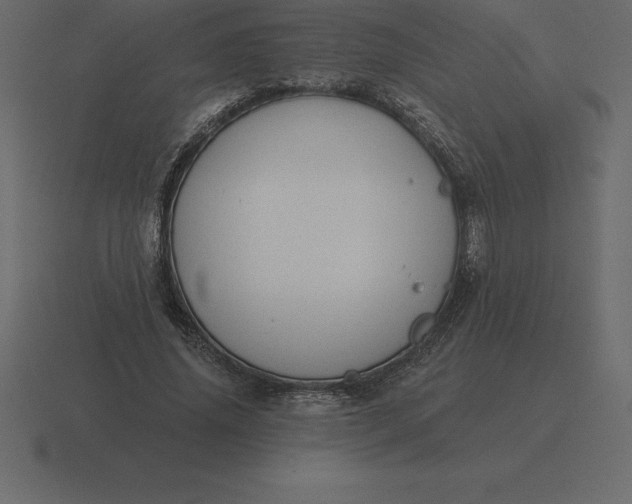 X0000116630636200912241813