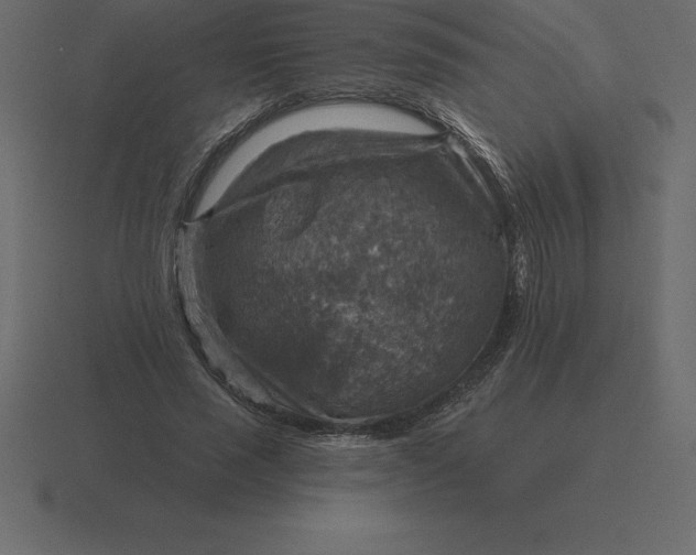 X0000116630637200912241813