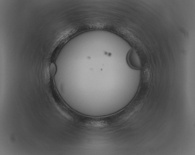 X0000116630638200912241813