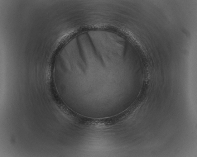 X0000116630640200912241813