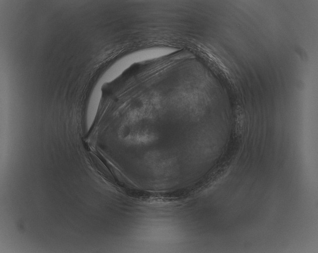 X0000116630641200912241813