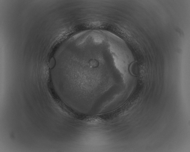 X0000116630642200912241813