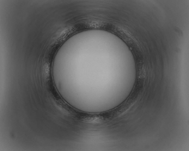 X0000116630646200912241813