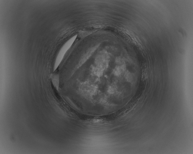 X0000116630647200912241813