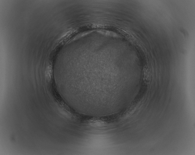 X0000116630648200912241813