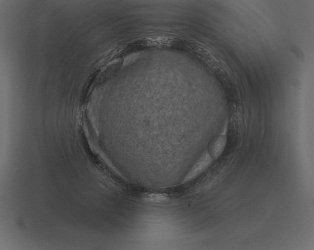 X0000116630649200912241813