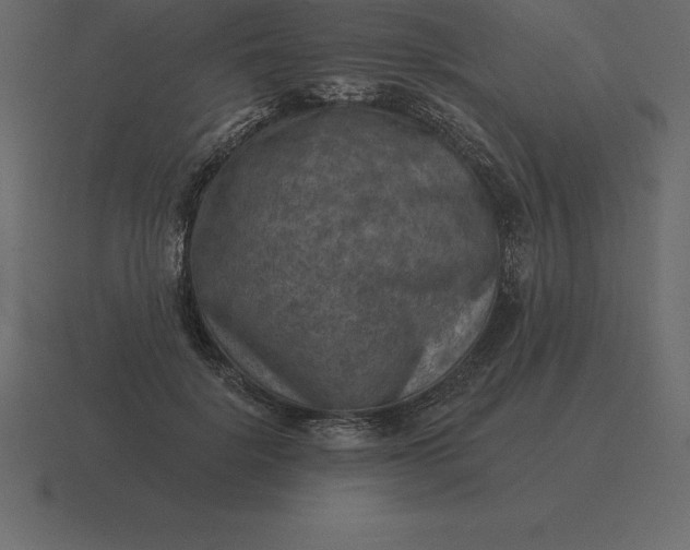 X0000116630652200912241813