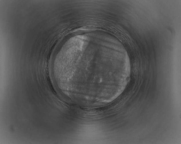 X0000116630653200912241813