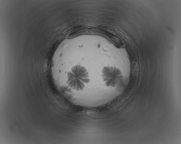 X0000116630655200912241813