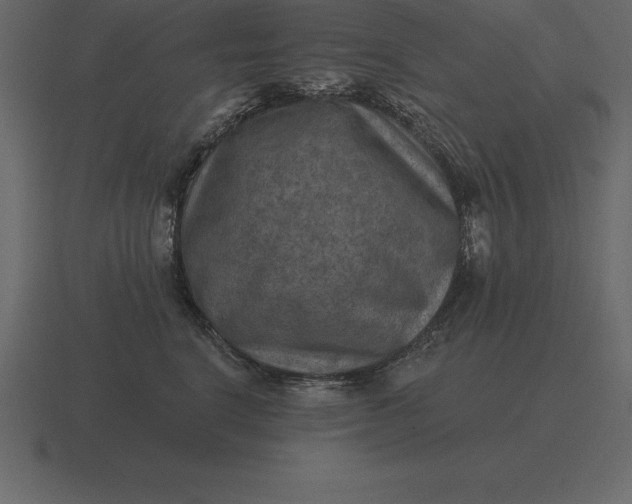 X0000116630664200912241813