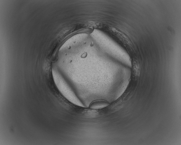 X0000116630665200912241813