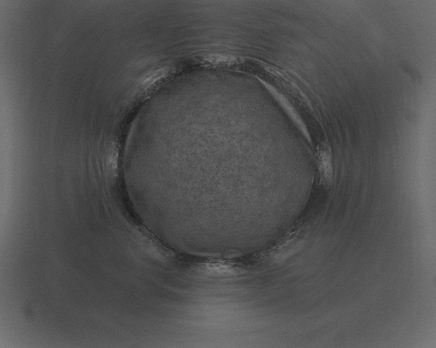 X0000116630668200912241813