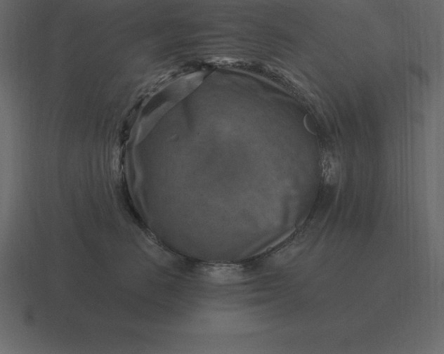 X0000116630670200912241813