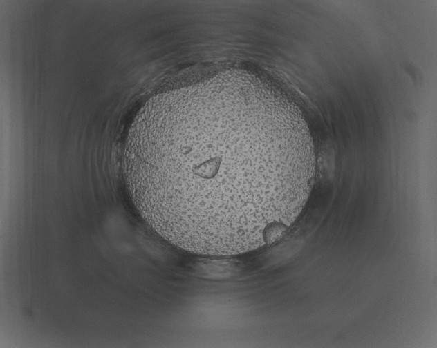 X0000116630671200912241813