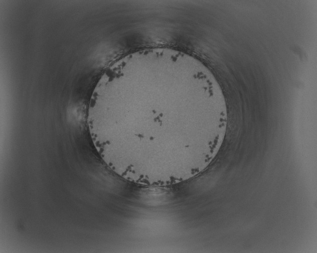 X0000116630672200912241813