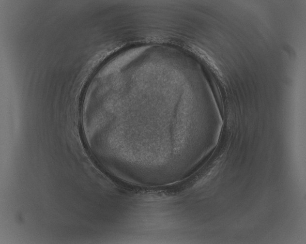 X0000116630673200912241813