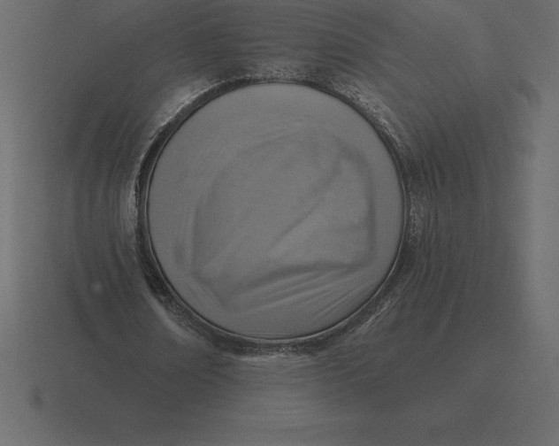 X0000116630674200912241813